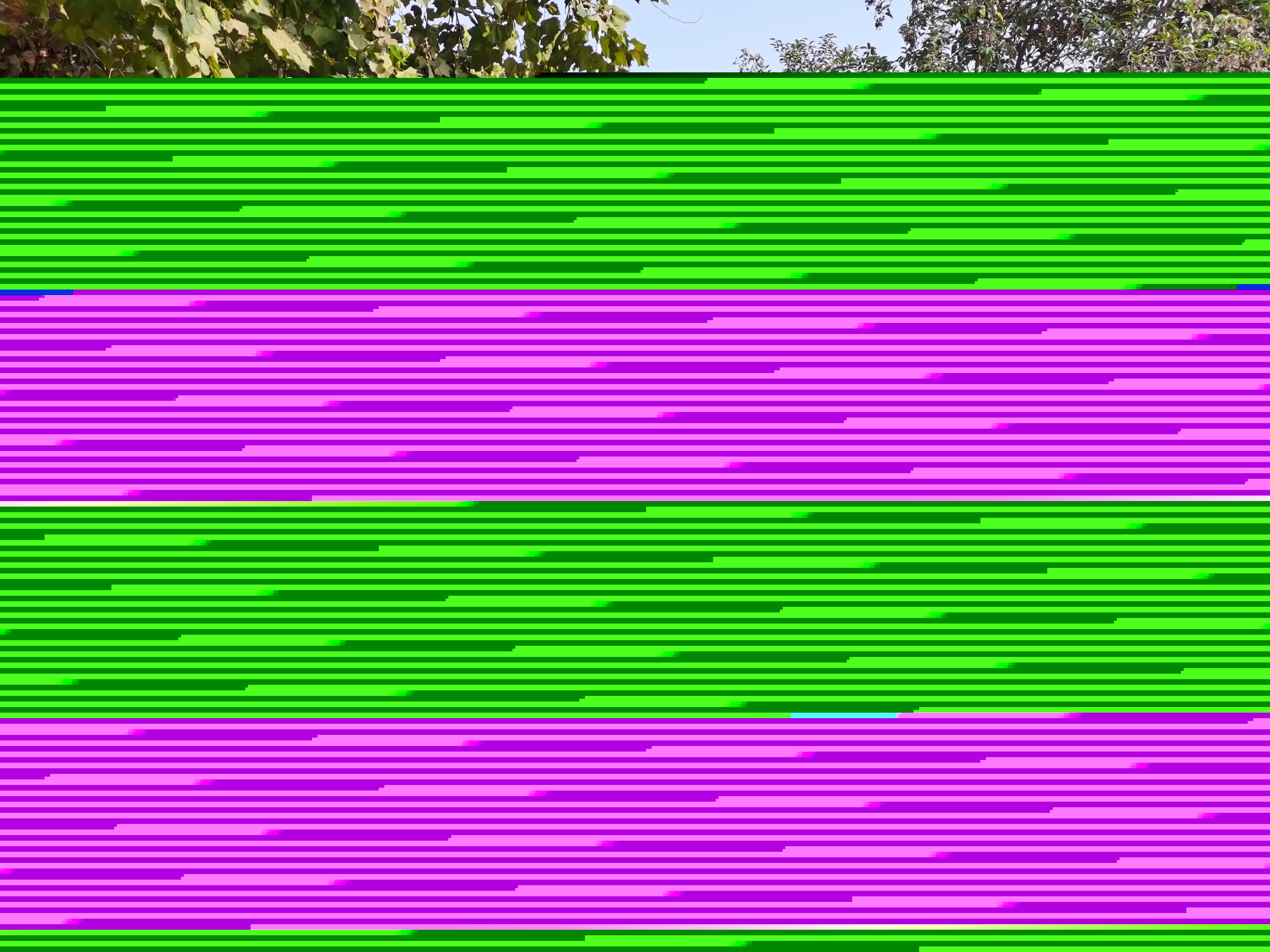 src=http___p9.itc.cn_images01_20201020_04cd8454a4cc49c19398c49def4563cd.jpeg&refer=http___p9.itc.webp.jpg