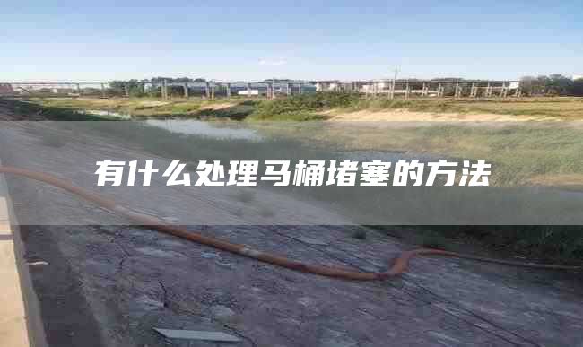 有什么處理馬桶堵塞的方法