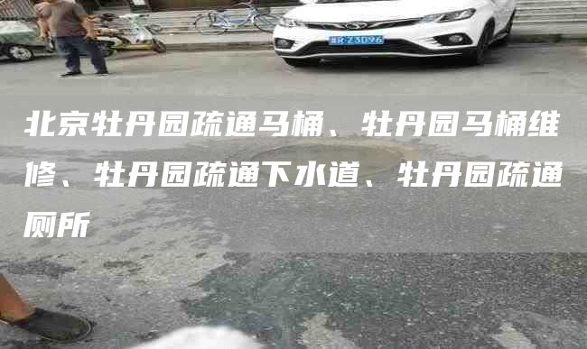 北京牡丹園疏通馬桶、牡丹園馬桶維修、牡丹園疏通下水道、牡丹園疏通廁所