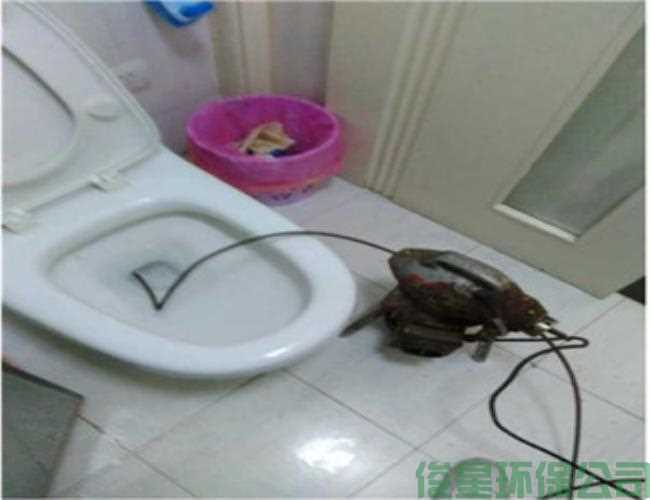 豐臺區蒲黃榆管道疏通衛生間疏通下水道多少錢(qián)