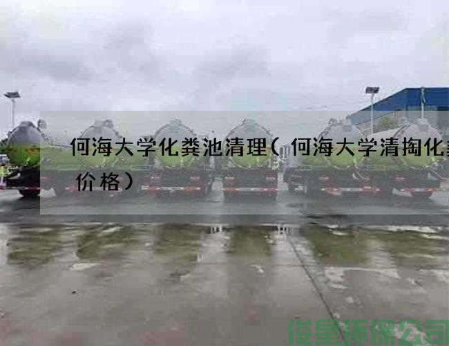 何海大學(xué)化糞池清理(何海大學(xué)清掏化糞池價(jià)格)