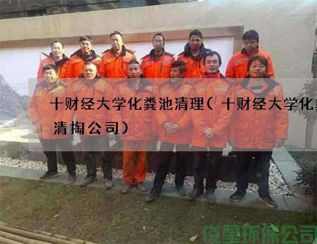十財經(jīng)大學(xué)化糞池清理(十財經(jīng)大學(xué)化糞池清掏公司)