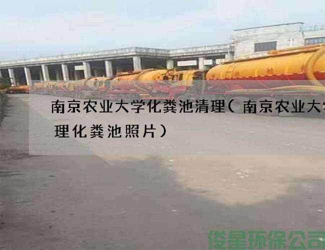 南京農業(yè)大學(xué)化糞池清理(南京農業(yè)大學(xué)清理化糞池照片)