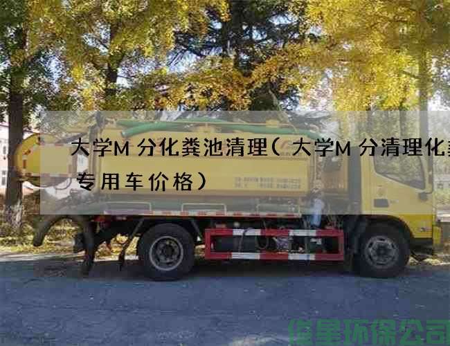 大學(xué)M分化糞池清理(大學(xué)M分清理化糞池專(zhuān)用車(chē)價(jià)格)