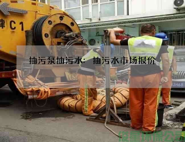 抽污泵抽污水:抽污水市場(chǎng)報價(jià)
