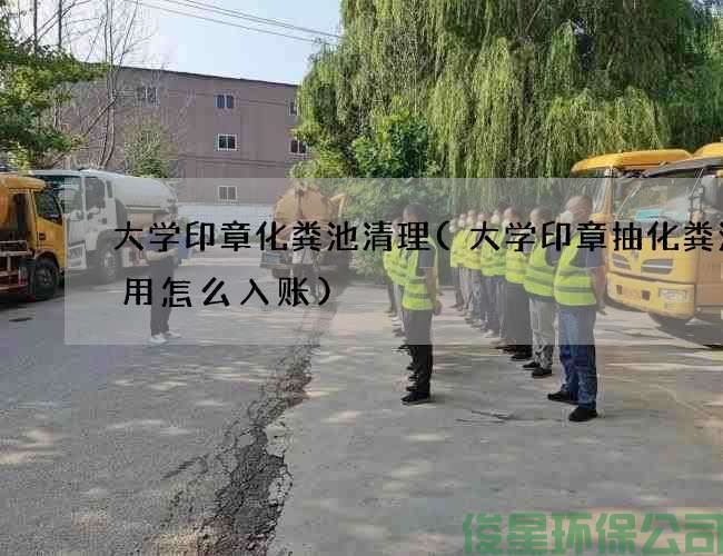 大學(xué)印章化糞池清理(大學(xué)印章抽化糞池費用怎么入賬)
