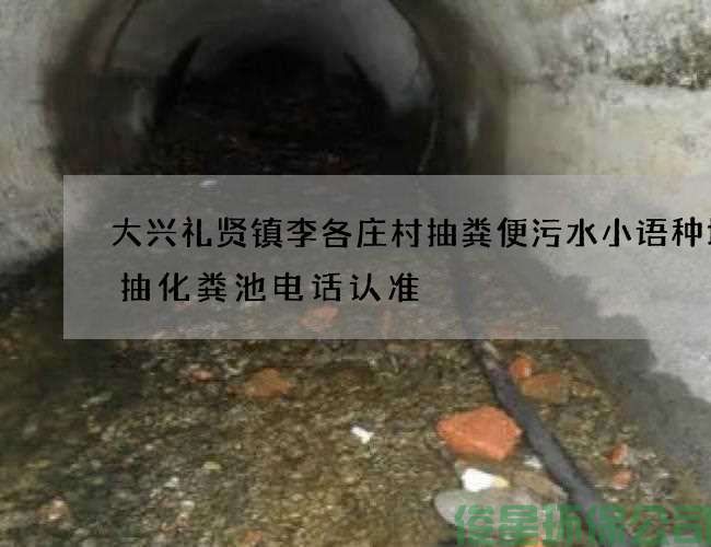 大興禮賢鎮李各莊村抽糞便污水小語(yǔ)種培訓抽化糞池電話(huà)認準