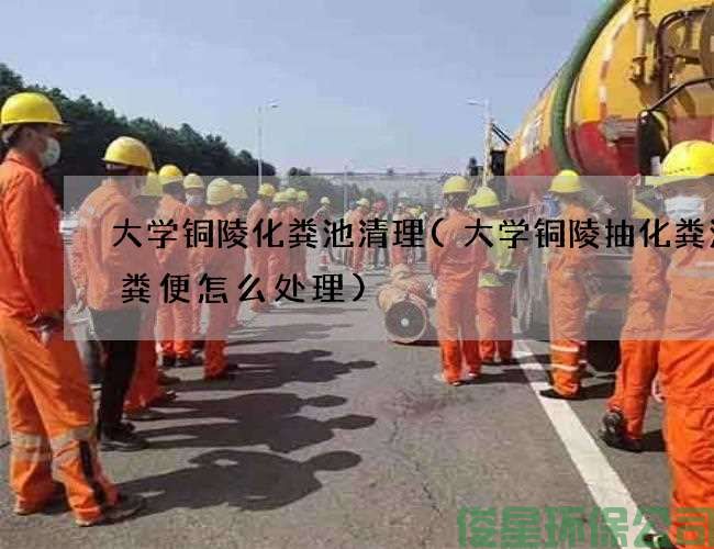 大學(xué)銅陵化糞池清理(大學(xué)銅陵抽化糞池的糞便怎么處理)