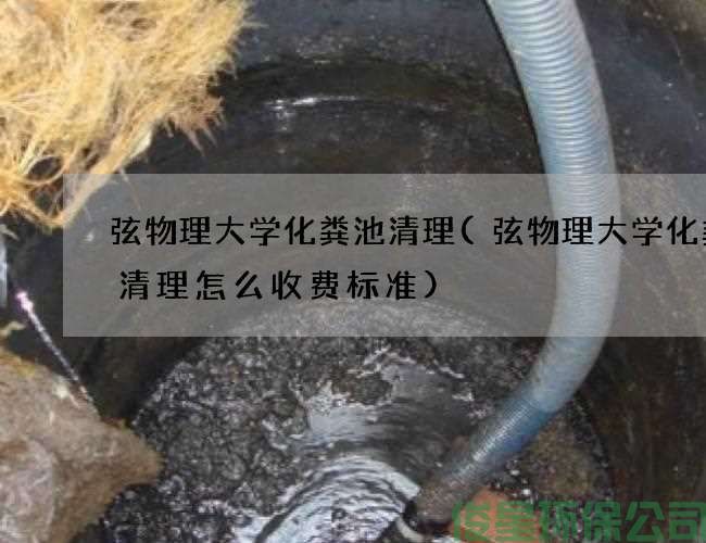 弦物理大學(xué)化糞池清理(弦物理大學(xué)化糞池清理怎么收費標準)