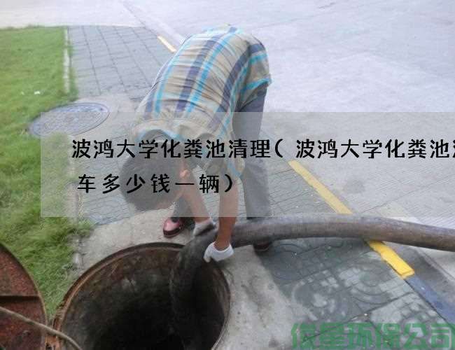 波鴻大學(xué)化糞池清理(波鴻大學(xué)化糞池清理車(chē)多少錢(qián)一輛)
