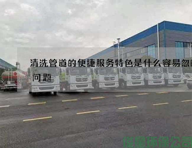 清洗管道的便捷服務(wù)特色是什么容易忽略的問(wèn)題