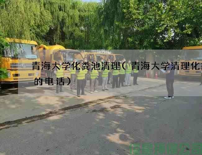 青海大學(xué)化糞池清理(青海大學(xué)清理化糞池的電話(huà))