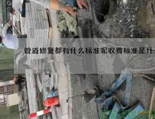 管道修復都有什么標準呢收費標準是什么