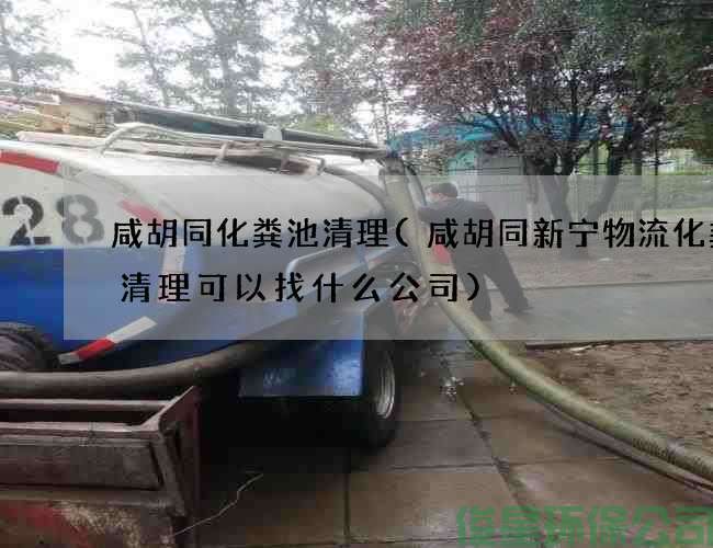 咸胡同化糞池清理(咸胡同新寧物流化糞池清理可以找什么公司)