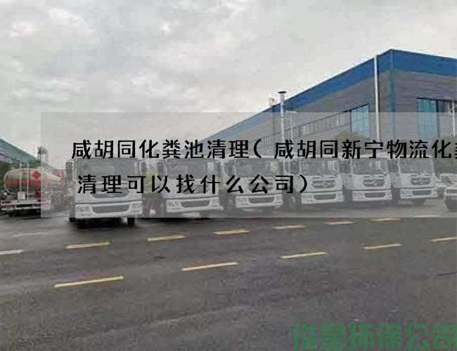 咸胡同化糞池清理(咸胡同新寧物流化糞池清理可以找什么公司)