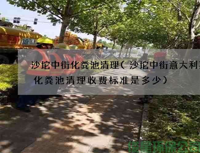 沙坨中街化糞池清理(沙坨中街意大利菜店化糞池清理收費標準是多少)