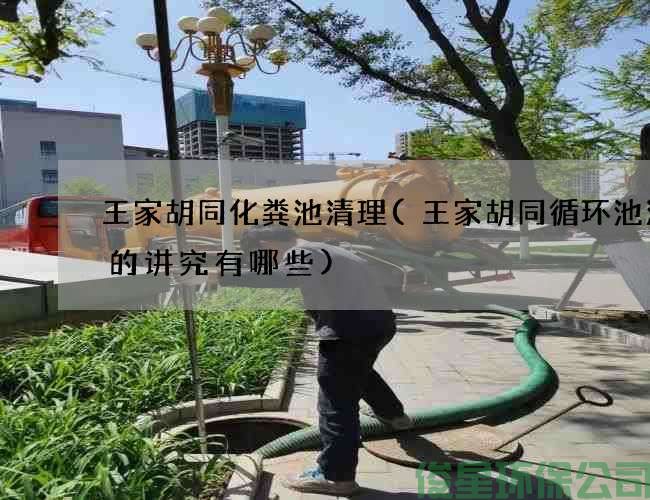 王家胡同化糞池清理(王家胡同循環(huán)池清理的講究有哪些)