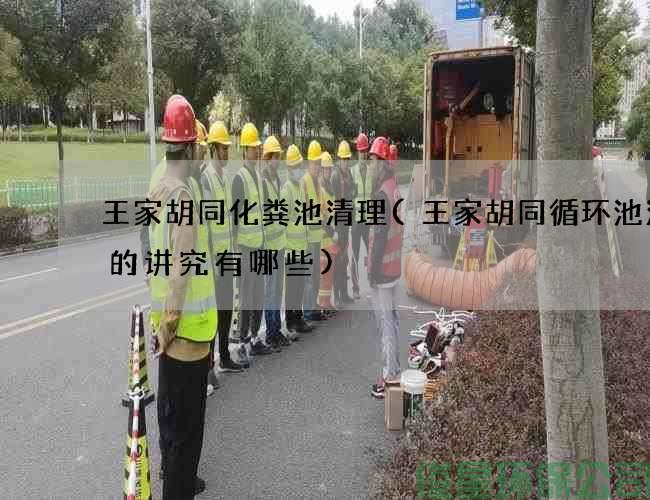 王家胡同化糞池清理(王家胡同循環(huán)池清理的講究有哪些)