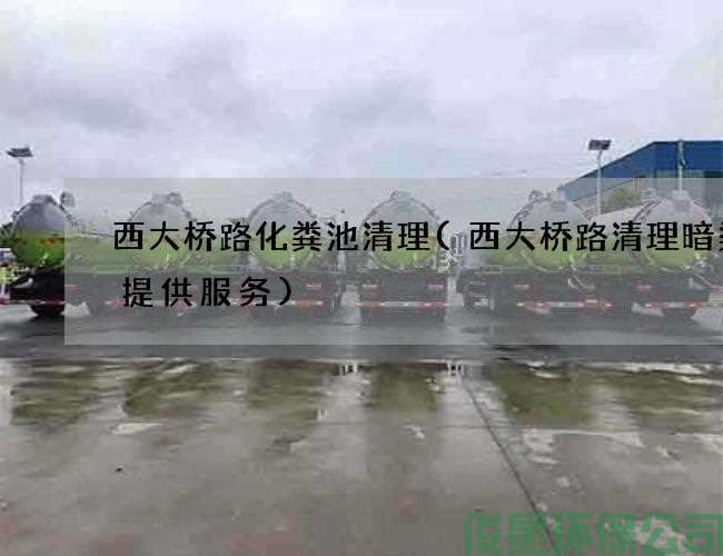 西大橋路化糞池清理(西大橋路清理暗渠可提供服務(wù))