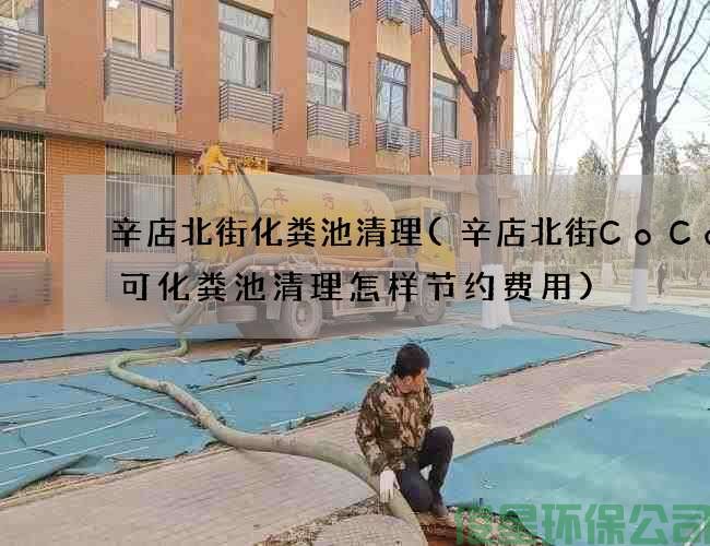 辛店北街化糞池清理(辛店北街CoCo都可化糞池清理怎樣節約費用)